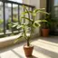 Cây trồng trong chậu nhân tạo Mini thực tế SRVN có trang trí chậu đất nung cho nhà búp bê Vườn phong cảnh cổ tích Các dự án thủ công DIY.