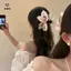 Kẹp Tóc Hoa Mô Phỏng Dành Cho Nữ Bé Gái Đi Biển Ngày Lễ Móng Vuốt Tóc Tính Khí Kẹp Cá Mập Phụ Kiện Tóc Tinh Tế Quà Tặng [Mina]
