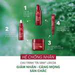 Tinh chất đậm đặc giảm nếp nhăn và tái tạo da Bakuchiol 0.5 Retinol Thực vật Yves Rocher Lift Pro-Collagene 30ml — ảnh 6