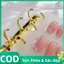 Trong Kho Nail Art Lưu Trữ Cuốn Sách Bảng Hiển Thị DIY Album Làm Móng Tay Collector Với 60 Để 100 Nhân Vật Cá Tuyết