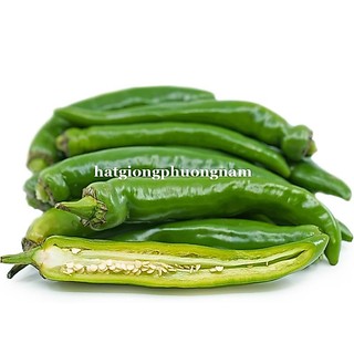 5 Hạt - Hạt Giống Ớt Sừng Ngọt Hàn Quốc Phương Nam