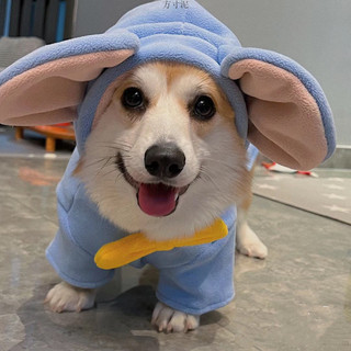 Corgi Quần Áo Thu Đông Dày Ấm Áp Vừa Chó Nhỏ Bichon Schnauzer Vest Shiba Inu Chó Mùa Đông Quần Áo WGPI