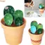 Bộ Thìa Đo THEGIRL8B, Thìa Đo Nhà Bếp Hình Xương Rồng Gốm, Thìa Khuấy Có Đế Tiết Kiệm Không Gian Thìa Nướng Bột Muỗng