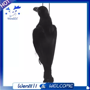 Con quạ chết treo thực tế Lifesize Quạ lông đen cực lớn