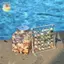 Hộp trưng bày vỏ sò từ tính Acrylic Seashell Clear Starfish Trinket Organizers 36 / 64 / 100 Lưới Hộp đựng vỏ sò Mini ELWW