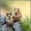 16 Mảnh Thu Nhỏ Đêm Cú Hình Vườn Cổ Tích Mini Tượng Động Vật Đồ Chơi Rêu Terrarium Trang Trí Nhựa Cho Micro-Landscape Nồi