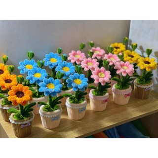[Thành phẩm] Chậu Hoa Kẽm Nhung mini Thủ công Handmade - Làm Quà tặng - Decor Trang trí nhà cửa, bàn học, bàn làm việc