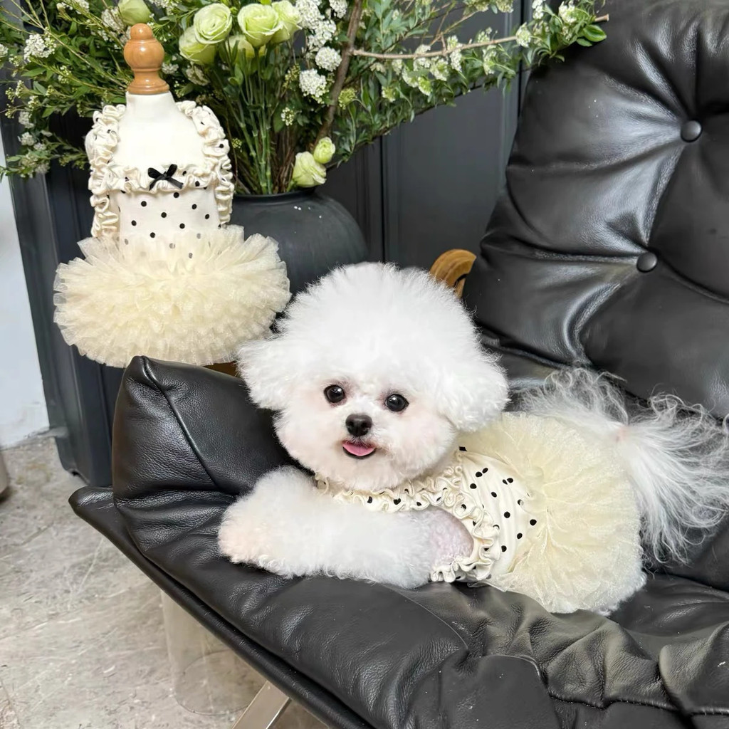 Đầm Sling Thú Cưng Thoáng Khí Mùa Hè Phong Cách Công Chúa Teddy Chó Mèo Chấm Bi Đầm Ren