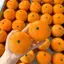 Mô Phỏng Tangerine Căng Thẳng Bóng DIY Handmade Mềm Bóp Squishy Đồ Chơi Không Độc Hại Cho Người Lớn Trẻ Em Nhà Trường Học Giảm Áp Lực