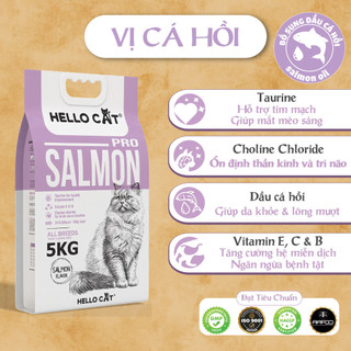 Hạt Cho Mèo Hello Cat 5kg Mọi Lứa Tuổi - Tiêu Hóa Tốt, Tiết Niệu Khỏe, Dưỡng Da Lông Óng Mượt