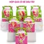 Hộp quà theo chủ đề bé gái SET 6 cái