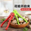 🔥Dụng Cụ Tách Sò Huyết phụ kiện chế biến hải sản dụng cụ tách sò huyết Kìm Tuyết Kìm Máu Hà Dụng Cụ Mở Hoa Clam Kẹp Dụng Cụ Mở Tóc Vọc Máu Kìm Mở Máu Clam Dụng Cụ Tiện Dụng