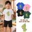 Áo phông trẻ em hình khủng long họa tiết mềm mại Co giãn tốt học sinh tiểu học