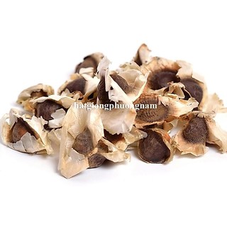 5 Gram - Hạt Giống Chùm Ngây Phương Nam