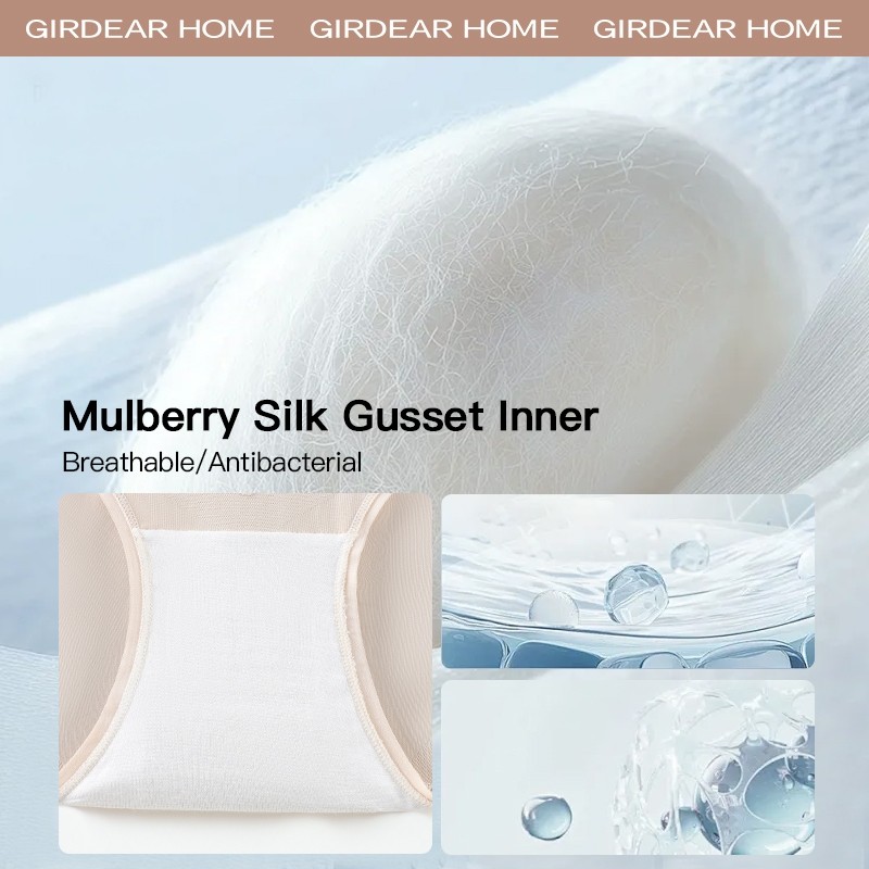 Girdear Home 2-3Pcs Quần Lót Nữ Siêu Mỏng Băng Lụa Co Dãn, Kháng Khuẫn Và Thoáng Khí - Trung Eo Liên Mạch Mát Mẻ, Định Hình Gợi Cảm,8531AC06