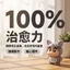 Hầu hết lời khen ngợi My Neighbor Totoro Jumpsuit Crayon Shin-Chan 3D In Hình Máy Tính Để Bàn Hợp Thời Trang Chơi Trang Trí
