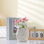 Bình gốm vỏ sò phong cách Bắc Âu Kết cấu xoắn ốc Chậu hoa Wabi Sabi Phòng khách Lối vào Sắp xếp hoa khô Tàu trang trí để trang trí nhà cửa