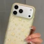 Ốp Điện Thoại Mờ Hoa Cho iPhone 17 Pro Max 16 15 14 13 Vỏ Bảo Vệ Chống Sốc