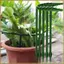 10 Chân Đế Hoa Để Bàn Giá Đỡ Cây Leo Cây Nho Vườn Trellis Hỗ Trợ Cho Gia Đình 17cm X 15.5cm