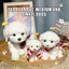 Squishy Teddy Dog Đồ chơi giảm căng thẳng với khăn quàng cổ sang trọng dễ thương Thân thiện với da Họa tiết mềm Bóp Đồ chơi dành cho học sinh Thi Giảm lo âu