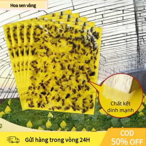 Keo Bẫy Côn Trùng Không Rửa Trôi - Bảo Vệ Vườn Sạch, An Toàn Sức Khỏe