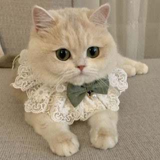 Khăn Cho Mèo Nơ Cổ Thú Cưng Yếm Nước Bọt Khăn Đồ Trang Trí