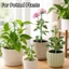 Hỗ trợ thực vật Cổ phần đa năng Chức năng Trang trí nội thất Tổ chức Essential Essential Essential