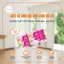 GIẤY VỆ SINH SÀI GÒN HỒNG CARE CÓ LÕI - LỐC 10 CUỘN / CHÍNH HÃNG