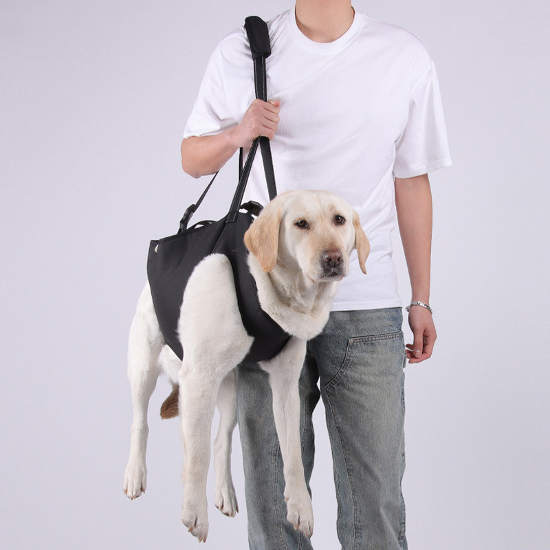 HamshMoc Dog Hỗ trợ toàn thân Dây nịt sử dụng hai chiều Hỗ trợ chân cho thú cưng cao cấp Hỗ trợ di động