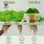 Khối xốp Plug Rock Grow Media Cubes Cây giống không đất