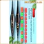 MONOSTYLE Phao câu cá điện tử, Phao ánh sáng tấn công 6 đèn, Đèn báo chất lượng cao Slip Drift Tube Rock Phao câu cá Câu cá ban đêm