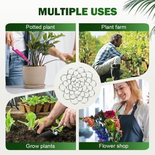3 Chiếc Thép Không Gỉ Hoa Lưới Tổ Chức 2026 Hoa Sắp Xếp Giá Đỡ Có Thể Tái Sử Dụng Ếch Hoa Thân Giá Đỡ Cho Bình tự làm Trang Trí Nhà 3 cái thay thế ổn định bền bỉ chắc chắn phù hợp dùng cho gia đình căn hộ văn phòng và không gian nhỏ