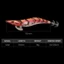 Mồi mực METUBE, 3.5 # Webfoot Octopus Dạ Quang Mực Jig, 2025 Dạ Quang Mực Mồi Nhân Tạo Câu Cá Biển
