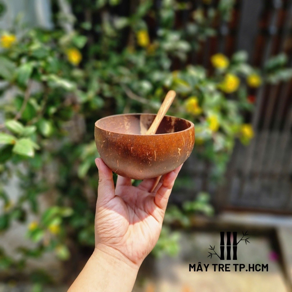 Chén gáo dừa, combo bát muỗng dừa, gáo dừa, chén ăn hạt ngủ cốc, chén gỗ,bát gỗ dừa