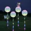 Đèn sân vườn bồ công anh chạy bằng năng lượng mặt trời với đổi màu RGB và chống thấm nước Hoàn hảo cho trang trí sân hiên VN