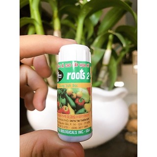 Lốc 10 ống 8ml Siêu ra rễ Root2