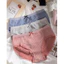 Combo 5-10 Quần Lót Nữ Cotton Kẻ Ca rô Mềm Mịn Đáy Lót Cotton Kháng Khuẩn Che Tên Sản Phẩm 42-58kg.