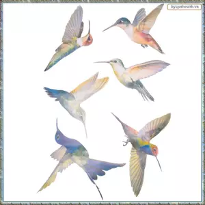 6 Chiếc Kích Thước Lrge Bird Window Clings Chống Va Chạm Cửa Sổ Clings Đề Can Ngăn Ngừa Chim Tấn Công Trên Kính Cửa Sổ