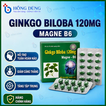 Ginkgo Biloba 120 mg giúp bổ não, tăng cường lưu thông, hoạt huyết dưỡng não. Hộp 100v