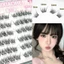 Lông mi giả uốn tóc C màu đen tự nhiên - Lông mịn nhẹ 9-12mm Chiều dài hỗn hợp