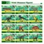12-Piece Realistic Dinosaur Toy Figure Set with Storage Box, Play Mat & Dino Book — Educational Pretend-Play Gift for Kids