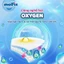 Combo 2 Ultra Tã/bỉm quần Molfix Oxy Ultra giúp Ngừa Hăm Tã