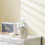 Bình gốm vỏ sò phong cách Bắc Âu Kết cấu xoắn ốc Chậu hoa Wabi Sabi Phòng khách Lối vào Sắp xếp hoa khô Tàu trang trí để trang trí nhà cửa