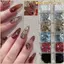 MONOSTYLE Chấm Bi Lấp Lánh Trang Trí Móng Tay Nghệ Thuật, Phụ Kiện Móng Tay Lấp Lánh 12 Lưới DIY, Sáng Tạo Tối Giản Đầy Màu Sắc Trang Trí Móng Tay Nghệ Thuật Salon Móng Tay