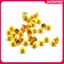 JASMINE 10 Chiếc Kẹp Tóc Vít Cho 8591 Bit Vít Cố Định Bit Vít JASMINE