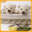 VFZ 20cm Búp Bê Nhồi Bông Dễ Thương Mềm Động Vật Mini Sang Trọng Đồ Chơi Mặt Dây Chuyền Trang Trí Phòng Cho Bé Gái Văn Phòng Trang Trí Xe Louislifecool