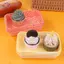 HFTOY 10 Cái Kẻ Sọc Dùng Một Lần Hình Chữ Nhật Hộp Đựng Nhựa Có Nắp Kem Bán Bánh Hộp Đựng Đồ Dã Ngoại Bento Sushi Hộp Đựng Bánh Mì ~