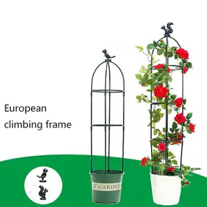 Ziyulinyuk 1 Bộ Cây Leo Trellis Lồng Hỗ Trợ Sân Vườn Cho Hoa Cây Hỗ Trợ Khung Trellis Leo DIY Cây Nho Hoa Đứng Nồi VN