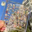 Hộp trưng bày vỏ sò từ tính Acrylic Seashell Clear Starfish Trinket Organizers 36 / 64 / 100 Lưới Hộp đựng vỏ sò Mini ELWW