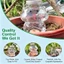 Cọc tưới nước tự động hàng đầu cho chậu trong nhà 4 quả cầu tưới cây cho lợn
